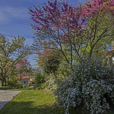 Apartment Jolanda Labin (Istria)