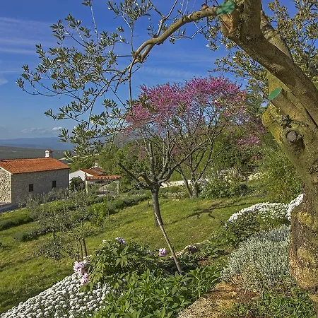 Jolanda * Labin (Istria)